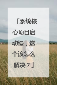 系统核心项目启动慢,这个该怎么解决?