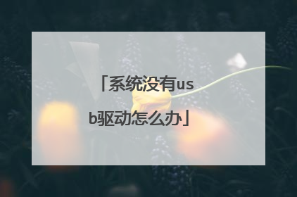 系统没有usb驱动怎么办