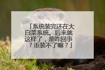 系统装完还在大白菜系统。后来就这样了,是咋回事?重装不了嘛?