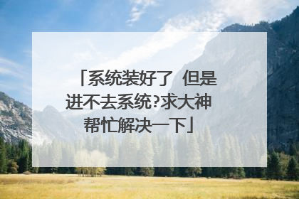 系统装好了 但是进不去系统?求大神帮忙解决一下