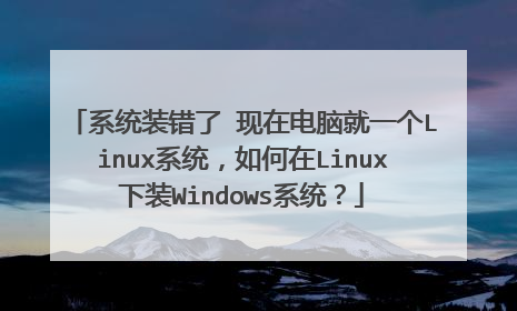 系统装错了 现在电脑就一个Linux系统,如何在Linux下装Windows系统?