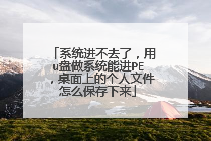 系统进不去了,用u盘做系统能进PE,桌面上的个人文件怎么保存下来