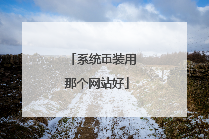 系统重装用那个网站好