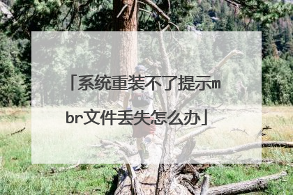 系统重装不了提示mbr文件丢失怎么办