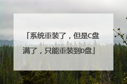 系统重装了,但是C盘满了,只能重装到D盘