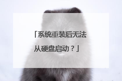系统重装后无法从硬盘启动?