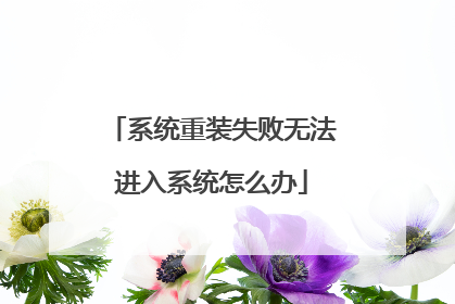 系统重装失败无法进入系统怎么办