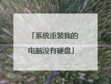 系统重装我的电脑没有硬盘