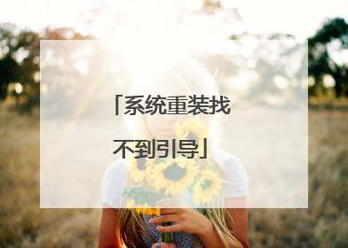 系统重装找不到引导