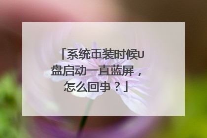 系统重装时候U盘启动一直蓝屏，怎么回事？
