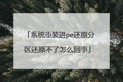 系统重装进pe还原分区还原不了怎么回事