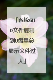 系统GHO文件复制到U盘里总显示文件过大