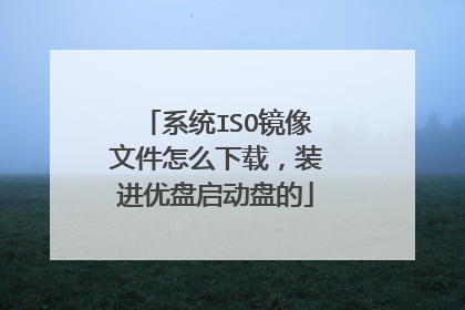 系统ISO镜像文件怎么下载,装进优盘启动盘的