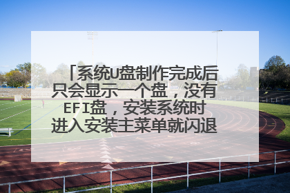 系统U盘制作完成后只会显示一个盘,没有EFI盘,安装系统时进入安装主菜单就闪退,是什么原因?