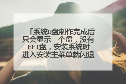 系统U盘制作完成后只会显示一个盘,没有EFI盘,安装系统时进入安装主菜单就闪退,是什么原因?