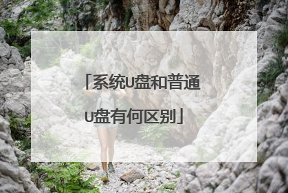 系统U盘和普通U盘有何区别