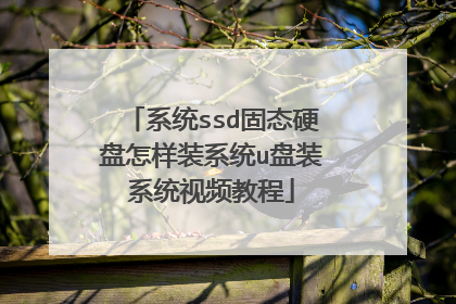 系统ssd固态硬盘怎样装系统u盘装系统视频教程