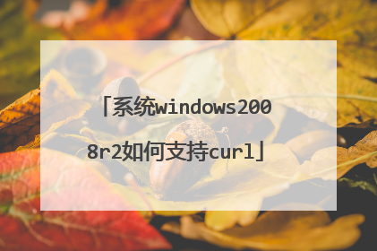 系统windows2008r2如何支持curl