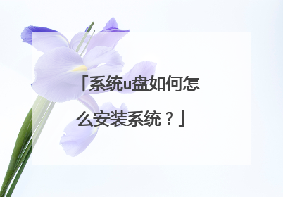 系统u盘如何怎么安装系统?