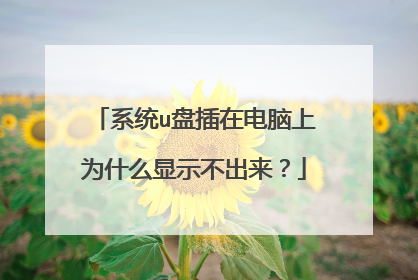系统u盘插在电脑上为什么显示不出来?