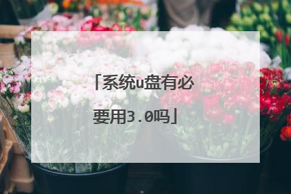 系统u盘有必要用3.0吗