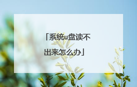 系统u盘读不出来怎么办