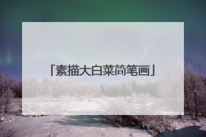素描大白菜简笔画