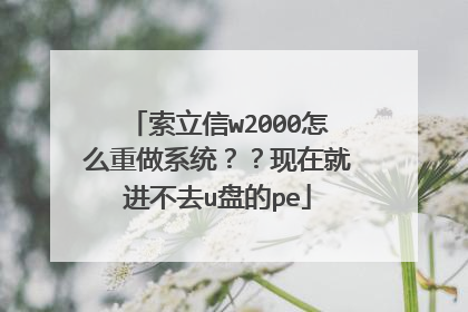 索立信w2000怎么重做系统??现在就进不去u盘的pe
