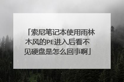索尼笔记本使用雨林木风的PE进入后看不见硬盘是怎么回事啊