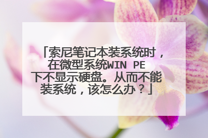 索尼笔记本装系统时,在微型系统WIN PE下不显示硬盘。从而不能装系统,该怎么办?