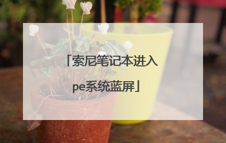索尼笔记本进入pe系统蓝屏