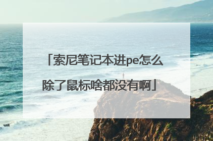 索尼笔记本进pe怎么除了鼠标啥都没有啊
