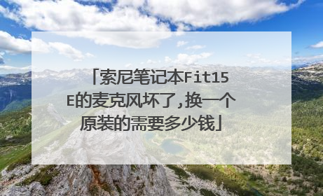 索尼笔记本Fit15E的麦克风坏了,换一个原装的需要多少钱