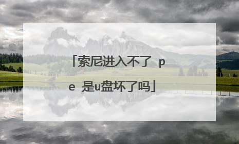 索尼进入不了 pe 是u盘坏了吗
