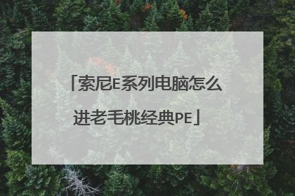 索尼E系列电脑怎么进老毛桃经典PE
