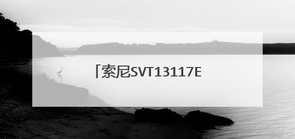 索尼SVT13117ECS用PE进入系统见不到本地硬盘，试用了很多PE都不行，BIOS也没硬盘选项，求解决方法。