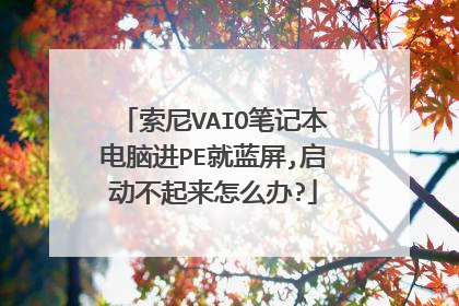 索尼VAIO笔记本电脑进PE就蓝屏,启动不起来怎么办?