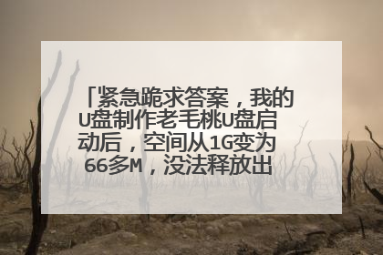 紧急跪求答案,我的U盘制作老毛桃U盘启动后,空间从1G变为66多M,没法释放出来,怎么办,请教各位大侠。。