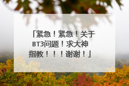 紧急!紧急!关于BT3问题!求大神指教!!!谢谢!