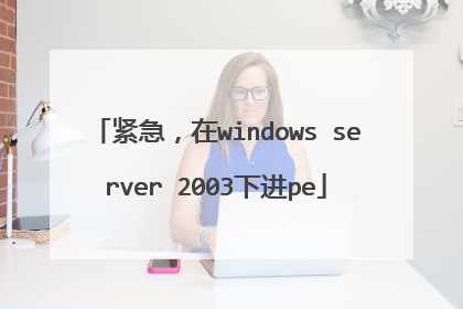 紧急,在windows server 2003下进pe