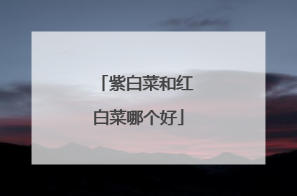 紫白菜和红白菜哪个好