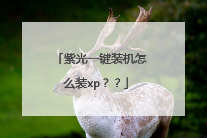 紫光一键装机怎么装xp??