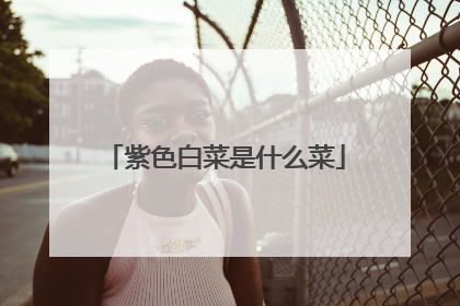 紫色白菜是什么菜