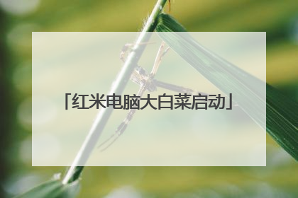 红米电脑大白菜启动