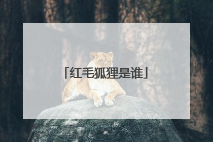 红毛狐狸是谁
