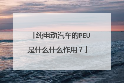 纯电动汽车的PEU是什么什么作用？