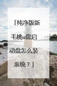 纯净版新毛桃u盘启动盘怎么装系统?