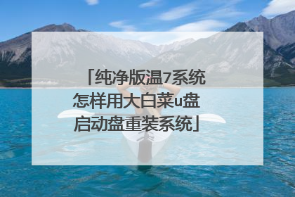 纯净版温7系统怎样用大白菜u盘启动盘重装系统