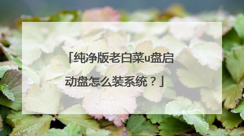 纯净版老白菜u盘启动盘怎么装系统？