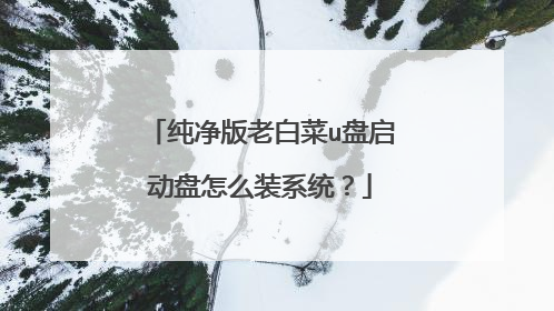 纯净版老白菜u盘启动盘怎么装系统?